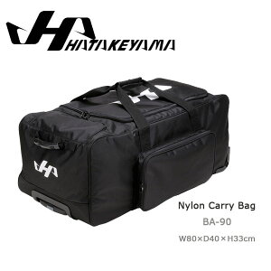 n^P} HATAKEYAMA iC L[obO 80cm×s40cm×33cm ubN