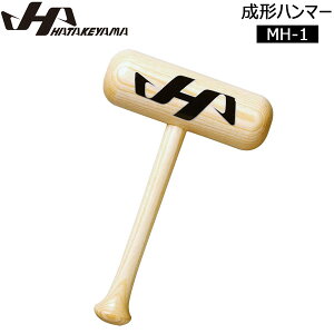 싅 n^P} HATAKEYAMA ^n}[ Ou O[u ^t