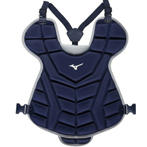 ~Ym  싅 \tg{[ veN^[ JSBB JSA F}[Nt 1DJPD250