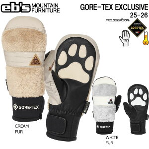25-26 GrX SAebNXGNXN[Vu EBS GORE-TEX EXCLUSIVE XL[ Xm[{[h  25-26-GR-EBS N[t@[ zCgt@[ XS S M L XL