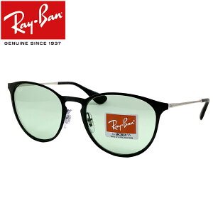 Co TOX GJ^ RAYBAN ERIKA METAL t[FBLACK YFLIGHT GREEN