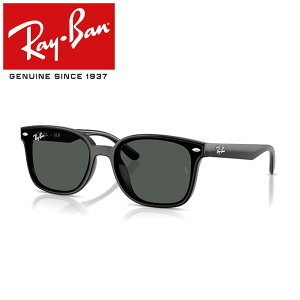 Co TOX RayBan RB4461D 601/87 64 t[ / BLACK Y / POLICARBONATE STANDARD DARK GREY {胂f