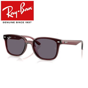 Co TOX RayBan RB4461D 659373 64 t[ / TRANSPARENT DARK BROWN Y / POLYAMIDE STANDARD VIOLET {胂f