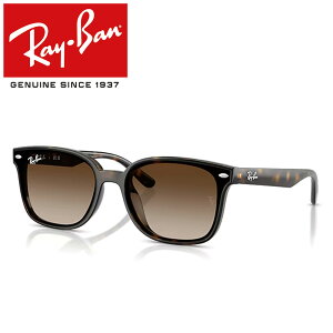 Co TOX RayBan RB4461D 710/13 64 t[ / HAVANA Y / POLICARBONATE STANDARD GRADIENT BROWN {胂f