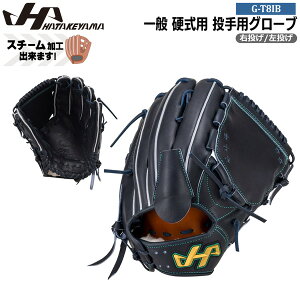 ハタケヤマ 硬式 投手 野球グローブ」の人気商品一覧 | 安い商品を通販 