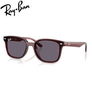 ���C�o�� �T���O���X RayBan RB4461D 659373 64 �t���[�� / TRANSPARENT DARK BROWN �����Y / POLYAMIDE STANDARD VIOLET ���{���胂�f��