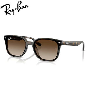 ���C�o�� �T���O���X RayBan RB4461D 710/13 64 �t���[�� / HAVANA �����Y / POLICARBONATE STANDARD GRADIENT BROWN ���{���胂�f��