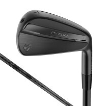 楽天市場】p790ブラックアイアンの通販