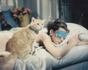 �ʐ^ (�|�X�^�[���݃T�C�Y) �e�B�t�@�j�[�Œ��H�� �I�[�h���[�w�b�v�o�[�� Breakfast at Tiffany�fs Audrey Hepburn �T�C�Y: 50.4 x 40.8 cm.