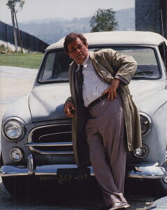 YR{ s[^[tH[N f ʐ^ Ai 8x10C`TCY 20.3x25.4cm