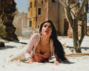 gXtH[}[ ~[KtHbNX Transformers@Megan Fox f ʐ^ Ai 8x10C`TCY 20.3x25.4cm.