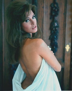 ���N�G���E�F���` Raquel Welch �f�� �ʐ^ �A���i 8x10�C���`�T�C�Y ��20.3x25.4cm