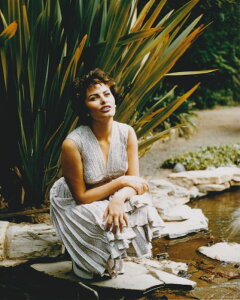 \tBA[ Sophia Loren f ʐ^ Ai 8x10C`TCY 20.3x25.4cm