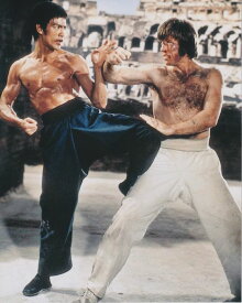 ドラゴンへの道 ブルースリー チャックノリス Bruce Lee 映画 写真 輸入品 8x10インチサイズ 約20.3x25.4cm