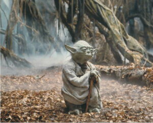 X^[EH[Y STAR WARS [_ f ʐ^ Ai 8x10C`TCY 20.3x25.4cm.