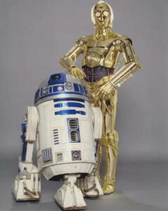 X^[EH[Y@C-3PO@R2-D2@f ʐ^ Ai 8x10C`TCY 20.3x25.4cm..