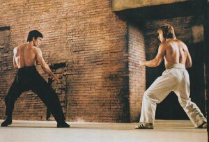 (�ق�A4�T�C�Y) �~�j�|�X�^�[�ʐ^ �h���S���ւ̓� �u���[�X���[ �`���b�N�m���X Bruce Lee �f�� �ʐ^ �|�X�^�[ �A���i 8x12�C���`�T�C�Y ��20.3x30.5cm.
