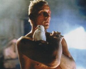 �u���[�h�����i�[ Blade Runner ���g�K�[�n�E�A�[ �f��@�ʐ^�@�A���i�@��20.3x25.4cm.