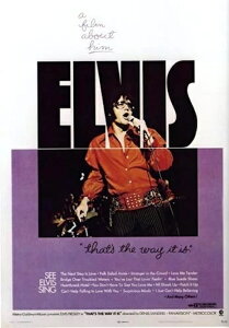 �A�� ���^�|�X�^�[�ʐ^ �G�����B�X�v���X���[ Elvis Presley ��43.5x28cm