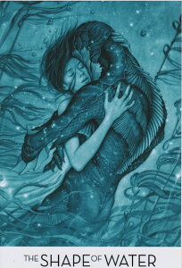 �A�� ���^�|�X�^�[�ʐ^ �č��� �V�F�C�v�I�u�E�H�[�^�[ The Shape of Water ��43.5x28cm