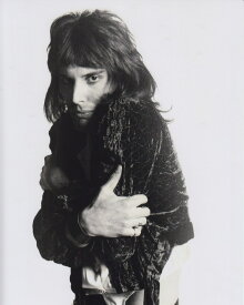 楽天市場 クイーン フレディマーキュリーの通販