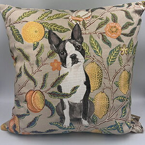 Jubilee ƃEBAX ʃfUC lf NbVJo[@NbVJo[@NbV@@tu@@