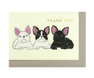 ݌Ɍ聙@TL[~jJ[hyĒ×S/t`uz肪Ƃ@O[eBO CXg@蕨@G݁@Xe[Vi[@@tu@@Mtg@v`v@