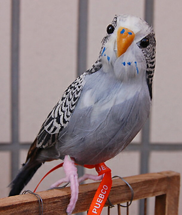 楽天市場】【PUEBCO/プエブコ・Budgie(Gray)】ARTIFICIAL BIRDS 
