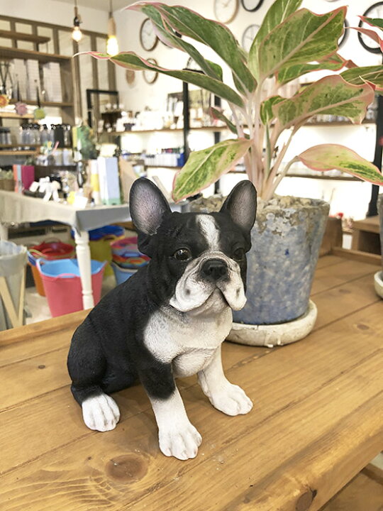楽天市場 フレンチブルオブジェ ボストンテリア オーナメント リアル かわいい ボストンテリア フレンチブルドッグ フレブル 犬 オーナメント インテリア エクステリア 家 庭 室内 飾り 職人 ハンドメイド アメリカン雑貨 パグ ディスプレイ Buff Store