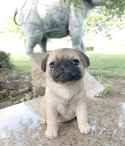 Vׁ@pOIuWFI[ig@GNXeA@A@킢@pug tu@@16cm10cms15cm@nhCh G݁@K[fjO CeA@rO@@ց@