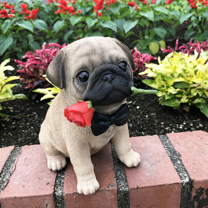 楽天市場 パグオブジェ ジェントル オーナメント リアル かわいい Pug フレブル 犬 オーナメント インテリア エクステリア 家 庭 室内 飾り 職人 ハンドメイド アメリカン雑貨 ディスプレイ Buff Store