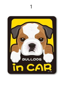 Dog in CARXebJ[y5I/uhbOAt`uA{XgeAzG݁@Xe[Vi[@tu@@V[@Mtg[