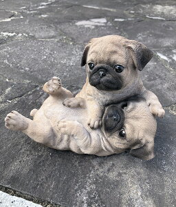 Vׁ@pO(yA) IuWFI[ig@GNXeA@A@킢@pug tu@@17cm21cms16cm@nhCh G݁@K[fjO CeA@rO@@