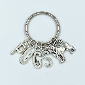 PUGSL[z_[ypOz킢@́@@G݁@Xgbv@L[O@tu@@Mtg@v`v@荠@Oo@keyring@Pug@Vo[@tH[@^[pbN/r