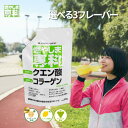 燃やしま専科 500g 公式 スポーツドリンク 粉末 パウダー クエン酸 国産 サプリ ドリンク アミノ酸 コラーゲン フィッ…