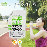 【スーパーSALE 20%OFF】燃やしま専科 500g 公式 スポーツドリンク 粉末 パウダー クエン酸 国産 サプリ …