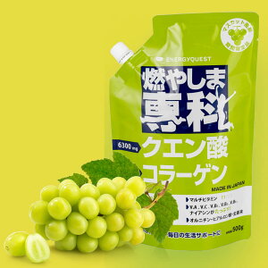 R₵ܐ 500g  X|[chN  pE_[ NG_ Y Tv hN A~m_ R[Q tBbVR[Q R[Qyv`h ⋋ _CGbg }`r^~