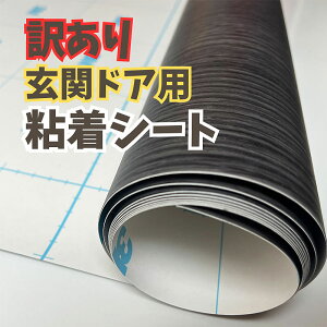 y󂠂zփhApSV[g 100cm×2mŃJbgς݁iO[/ؖځjCNV[g AEgbg 3M_CmbN FW-044DR