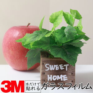 y1016mmz3M KXptByhtBz KX 䕗 nk ЊQ GR  V[g tB  ډB ~[ KX M h  