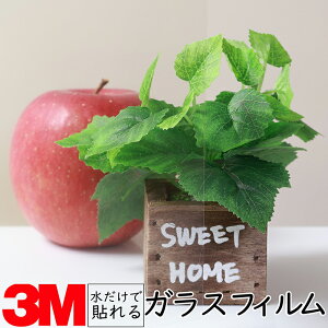 y1450mmz3M KXptBy˒ጸtBz KX 䕗 nk ЊQ GR  V[g tB  ډB ~[ KX M h  