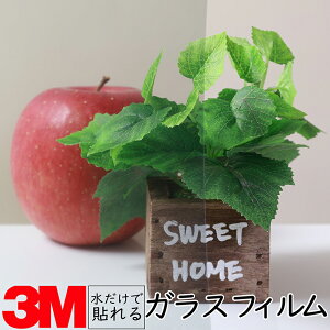 y1270mmz3M KXptByNano70SX imz KX 䕗 nk ЊQ GR  V[g tB  ډB ~[ KX M h  