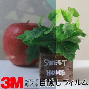 y914mmz3M KXptByVo[15Xz KX 䕗 nk ЊQ GR  V[g tB  ډB ~[ KX M h  