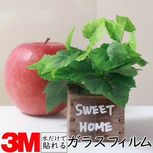 y1270mmz3M KXptBysAt87z KX 䕗 nk ЊQ GR  V[g tB  ډB ~[ KX M h  