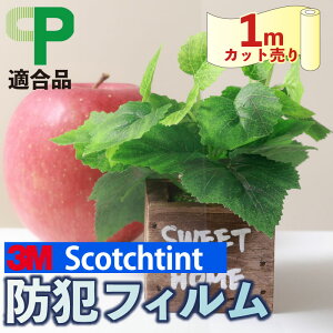 yz3M h tByKX tBz KX Uh~ tB KX hƃV[g h XebJ[t  KX KXUh~ V[g KXp  KXj΍