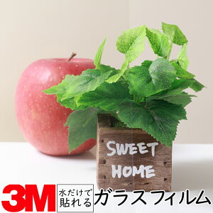 y1524mmz3M KXptByNano90S imz KX 䕗 nk ЊQ GR  V[g tB  ډB ~[ KX M h  