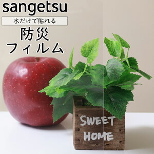 y1220mmzTQc KXptByh ^toA 90z KX 䕗 nk ЊQ GR  V[g tB  ډB ~[ KX M h   sangetsu