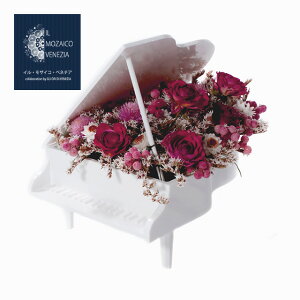 { vU[uht[ KN/o sAm CeA/u  /zCg 킢  nhCh/ j v[g/蕨 7755-LL21