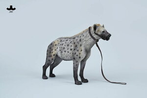 JXK Studio JXK215A1/A2/A3�@�n�C�G�i 1/6 �t�B�M���A