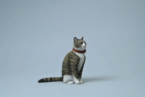 JXK 218 JXK 1/6 ؓcɔLiܒej