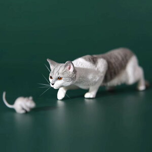 �L �t�B�M���A ���A�� �q�L �u�� JXK 062 �c���L2.0 �ߊl�p �����t�B�M���A �C���e���A �I�u�W�F �M�t�g �v���[���g